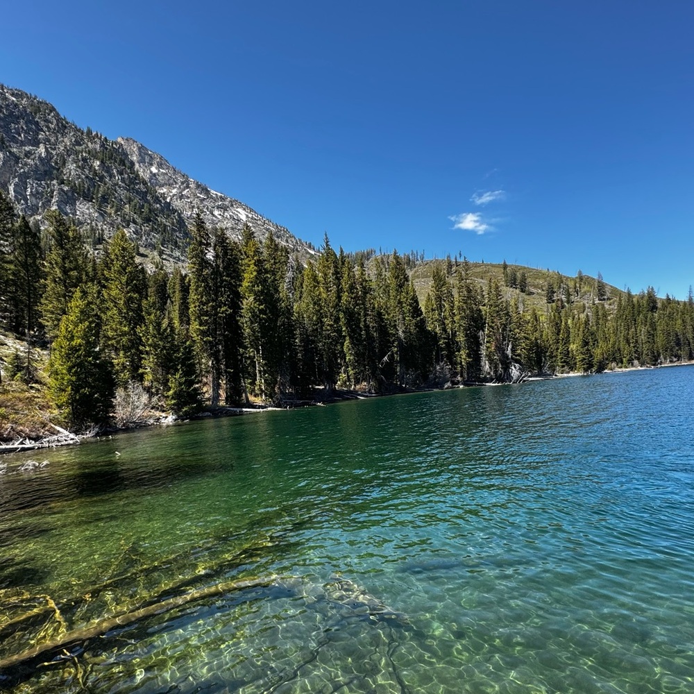 Meet your Posher, Jen